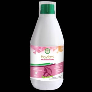 Havitas