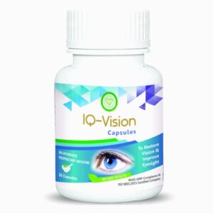 IQ Vision